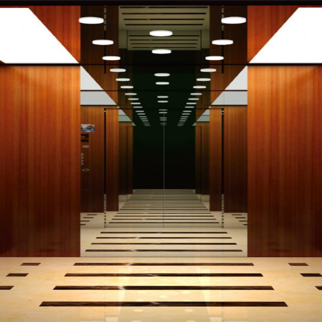 Chinese-Famous-Brand-Vvvf-Passenger-Elevator-for